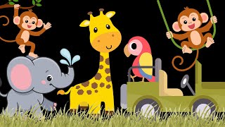 Little Safari Adventure Baby Sensory with High Contrast and Visual Stimulation