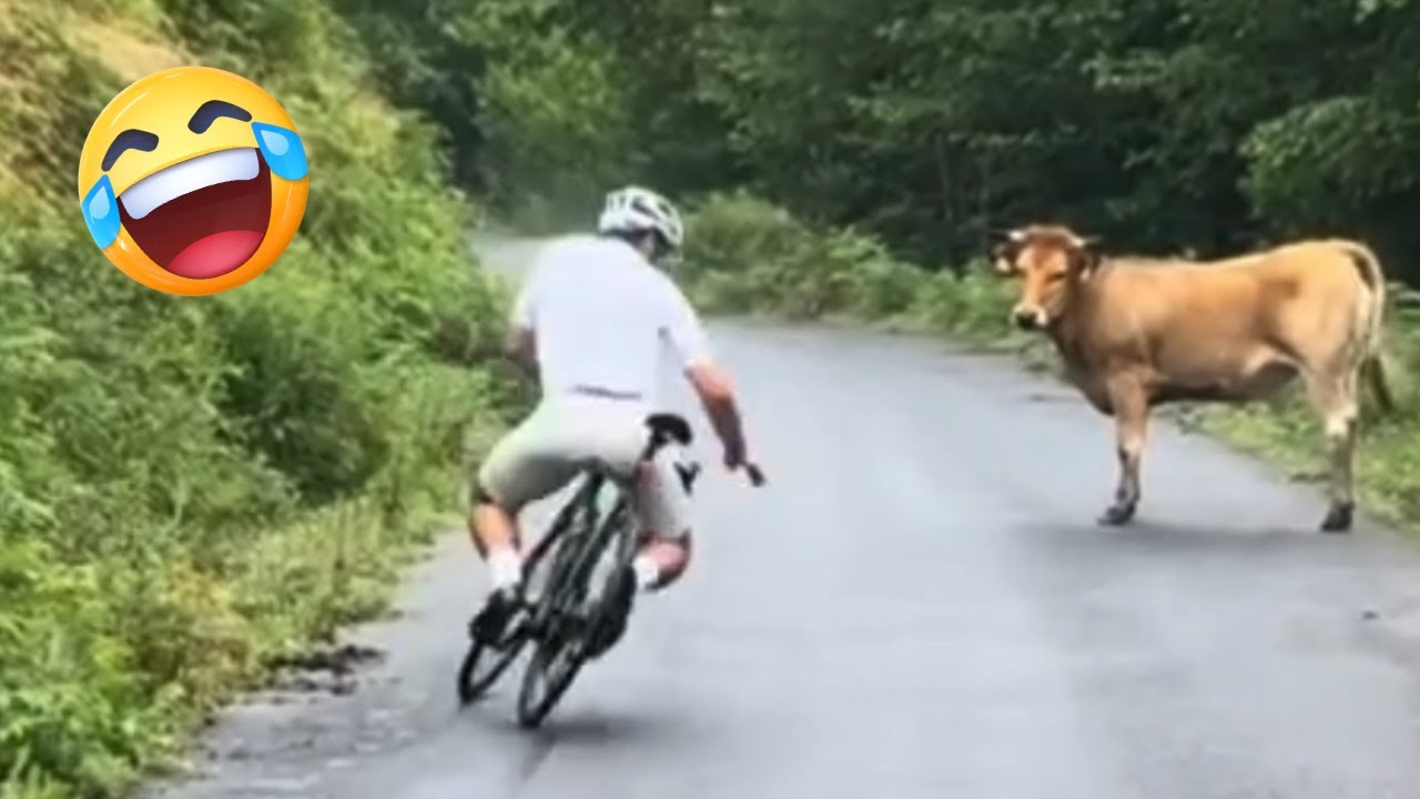 TENTE NÃO RIR 😂😁 Compilado De Momentos Engraçados Virais Da Internet 2025 #24