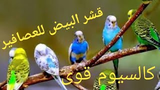 قشر البيض لعصافير البادجى كالسيوم قوى