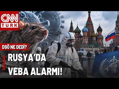 Plague Alarm in Russia? Remarkable Statement from the WHO: "No Evidence of Transmission"