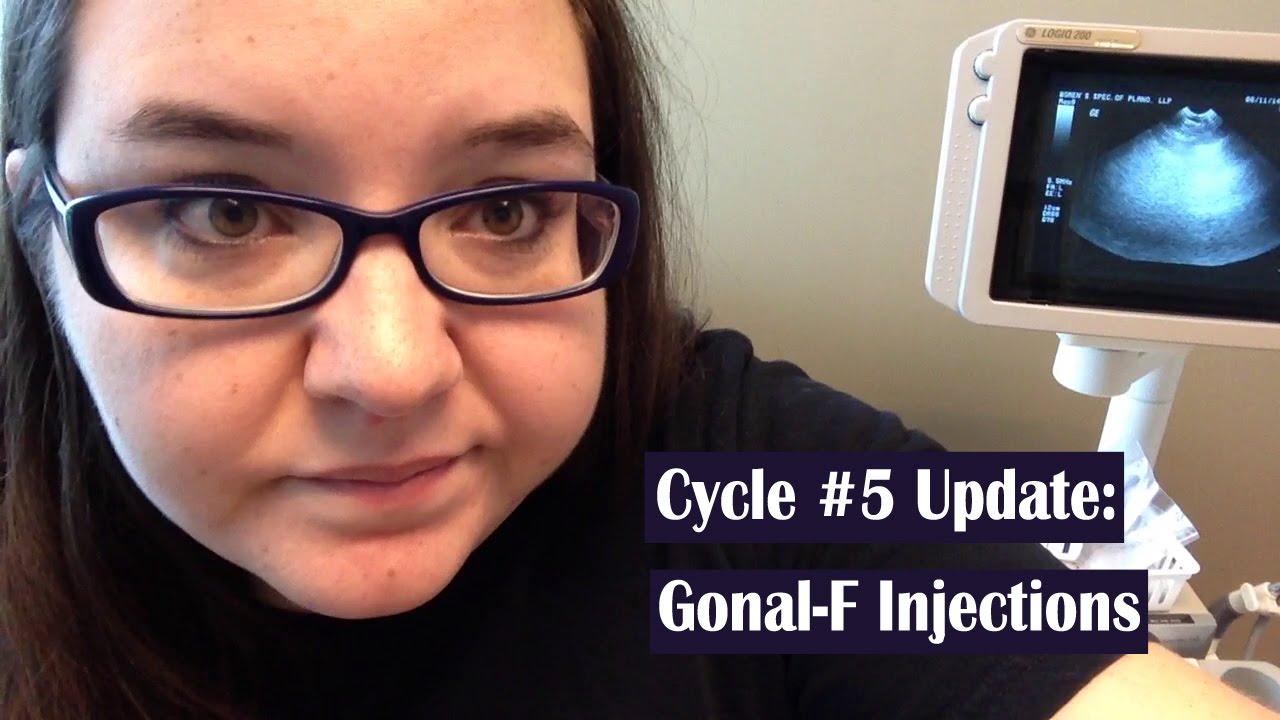 Lesbian ttc update gonal f injections youtube