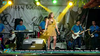 Download Lagu 🔴 Live Streaming NEW AHAKA MP3