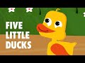5 little ducks  childrens nursery rhyme  the nursery channel