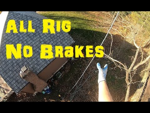 Dead Ash Tree Rigging - YouTube