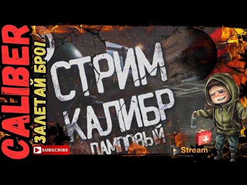 Видео: 🔥Путь Новичка: Вечерний ламповый стрим Caliber (Калибр) в 2024 залетай Бро!🔥