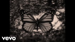 Download Lagu Violet Grohl - THUM (Official Lyric Video) MP3