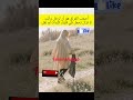 كلمات بقيت في القلب فراق كلمات وجع حزن قلب مشاعر غياب اشتياق خواطر وجع القلب حب مؤلم