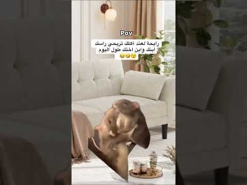 حصلل  اكسبلور تحشيش  ء 