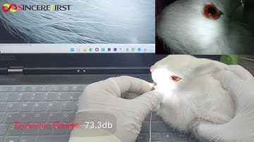 SF YL0320 V1+SF N1050 V1 2MP OV2740 side review endoscope Camera Module