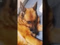 Nelya Fait Sa Fofolle à 22h19 Nelya Fait Sa Fofolle à 22h19