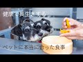 「健康で長生きするペットに本当に合った食事」