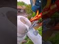 Amazing Iron Pole Bolt Tightening Using Manual Tricks 🔩🏗️ #shorts