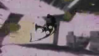 Mindless Self Indulgence - Futures - FLCL