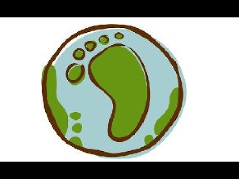 Ecologische footprint