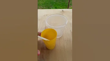 Ловушка для мух своими руками