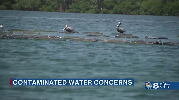 Release of polluted water into Tampa Bay following Piney Point leak prompts environmental, economic