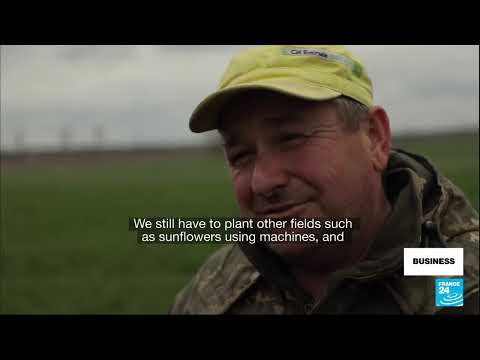 'Europe's breadbasket' at