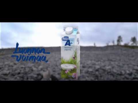 Këshilla mjekësore - Kolesteroli i lartë dhe rreziqet e tij. 