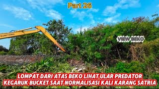 Download Lagu TIBA-TIBA Lompat Dari Atas Beko Lihat Ular Predator Saat Normalisasi Kali Karangsatria MP3 Download Lagu TIBA-TIBA Lompat Dari Atas Beko Lihat Ular Predator Saat Normalisasi Kali Karangsatria MP3