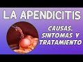 LA APENDICITIS, Causas, síntomas, diagnóstico y tratamiento