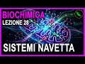 Sistemi Navetta del NADH: MALATO-ASPARTATO e GLICEROLO-3FOSFATO -Biochimica Lezione 28