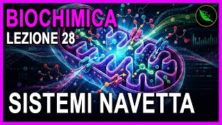 Sistemi Navetta del NADH: MALATO-ASPARTATO e GLICEROLO-3FOSFATO -Biochimica Lezione 28