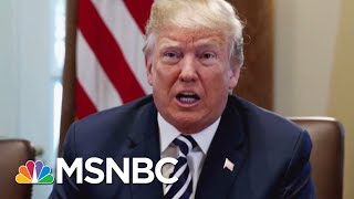 President Donald Trump Lists Payment To Michael Cohen On 2017 Financial Disclosure Report | MSNBC