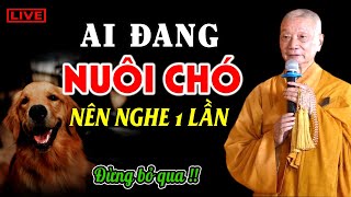 Ai đang NUÔI CHÓ trong nhà KHÔNG ĐƯỢC QUÊN những điều này  HT. Thích Trí Quảng