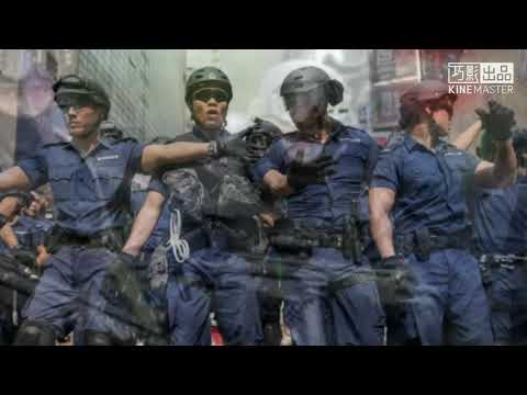 向警察致敬2