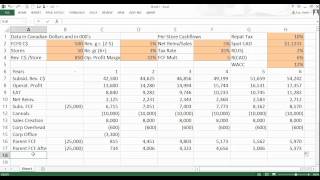 Global Finance Lab 3 Capital Budgeting