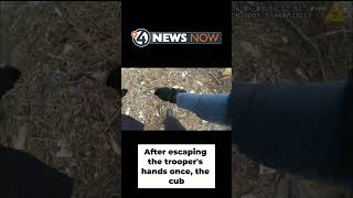 New Jersey State trooper came to the rescue of a lone bear cub