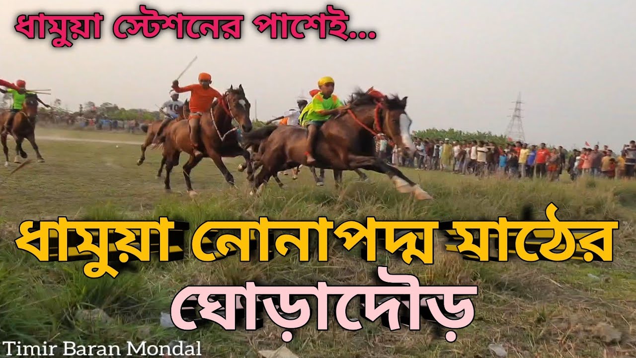 ধামুয়া নোনাপদ্ম মাঠের ঘোড়াদৌড়, ধামুয়া স্টেশনের পাশেই মহামায়া স্পোর্টিং ক্লাবের #horse #race #2025