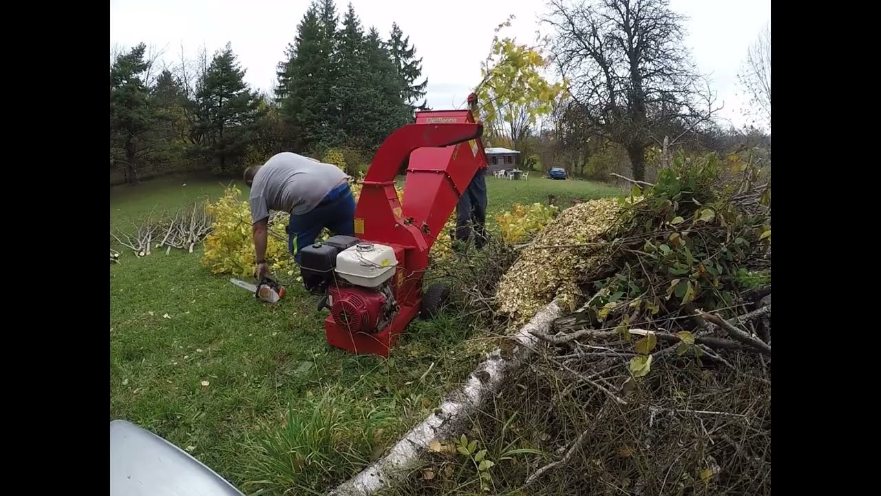 Broyeur DelMorino Scutum SCGX 390 : broyage de branches d'érable et tilleul pour compostage