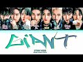 STRAY KIDS Giant Color Coded Lyrics By Yeontani STRAY KIDS Giant Color Coded Lyrics By Yeontani