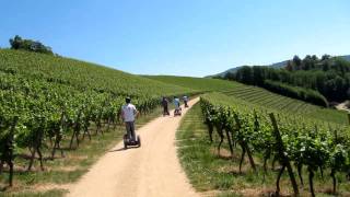 Bild 069.mov