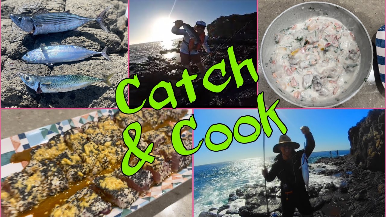 Bonito,Mac Tuna & mackerel catch & cook !! YouTube