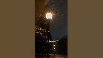 (وَلا تَخَافِي وَلا تَحْزَنِي) |سوره القصص🤎|#قرآن_كريم