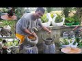 HOW TO MAKE A CUTE SWAN CEMENT POT AT HOME?