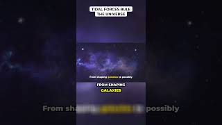 Tidal Forces Rule The Universe