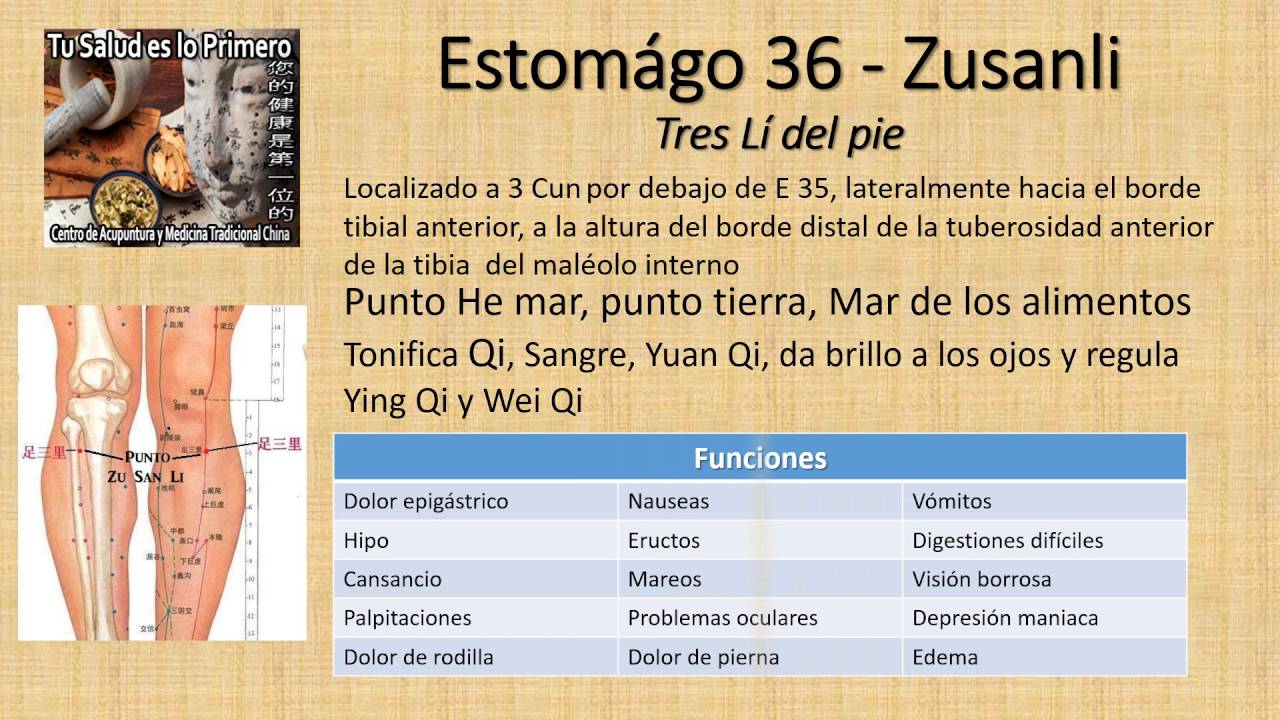 acupuntura que es E36