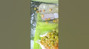 kitchen tips how to keep grapes fresh for long period