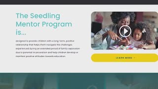 Famous Mentors needed for the Seedling Mentor Program Wealth