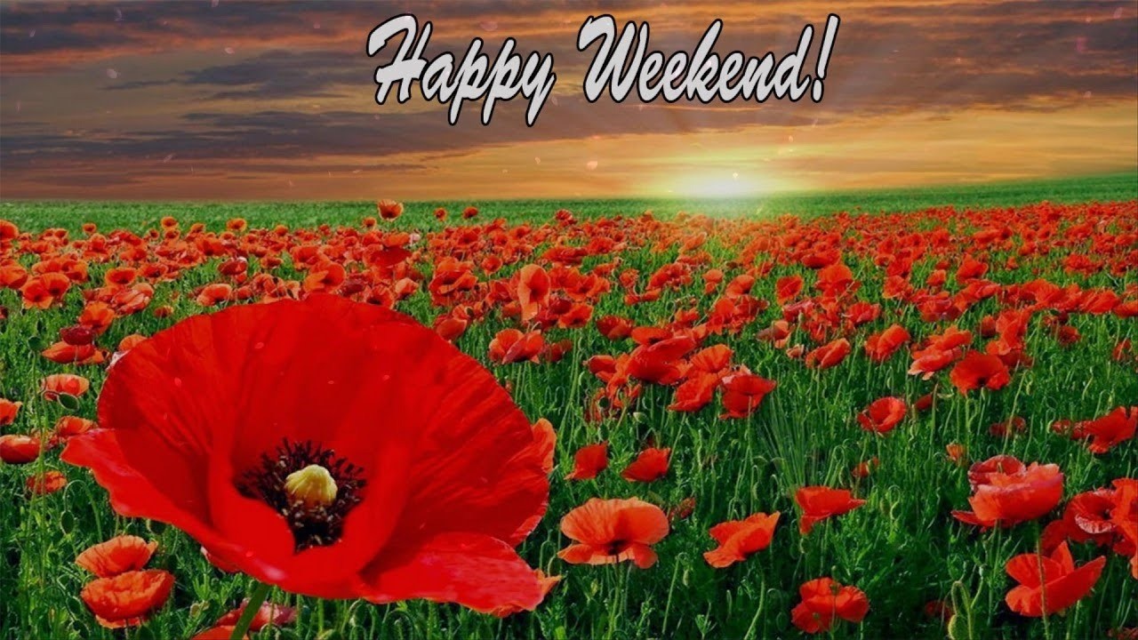 太美了 🎶 電子琴演奏👍电子琴100首好听歌曲【 3D環繞立體聲 】劉清池特殊音樂演奏曲🎶电子琴经典老歌再现经典🎶合集·镭射双电子琴演奏🎶最好聽的電子琴 老歌輕音樂 放鬆解 飛燕大樂隊 & 劉清池