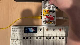 in5 - Chase Bliss Reverse Mode C - Half Speed Delay Buffer