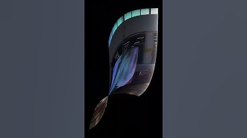 "Transparent Strategy" and "Flexible Symbiosis"