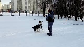 Любая команда - это просто трюк! Любая команда - это просто трюк!