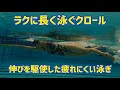 【クロール】ラクに長く泳ぐための泳ぎ方