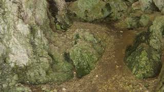 Torine I Pecina Grad - Petnjica