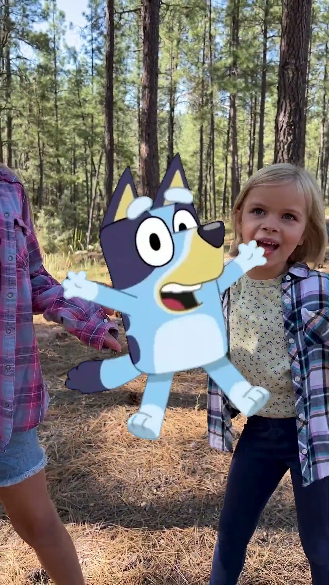 #bluey #kidssong