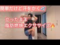 脂肪燃焼エクササイズ＆ストレッチ